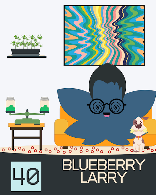40 BlueberryLarry