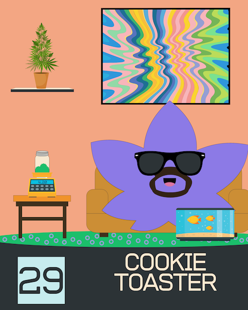 29 CookieToaster