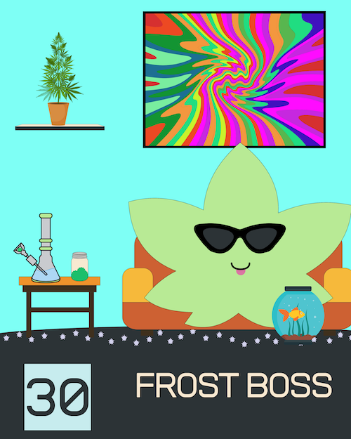30 FrostBoss