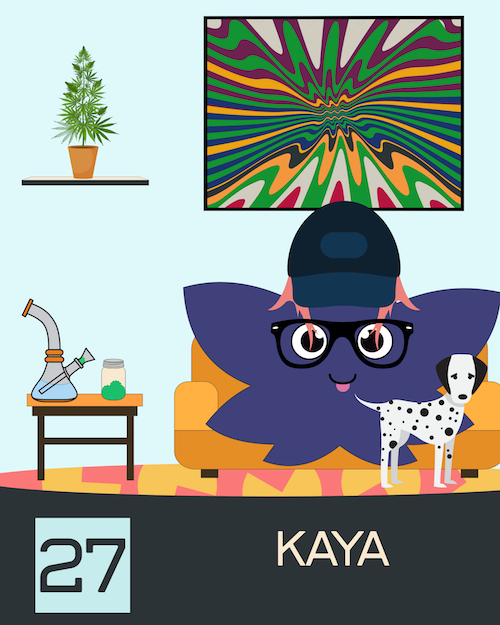 27 Kaya
