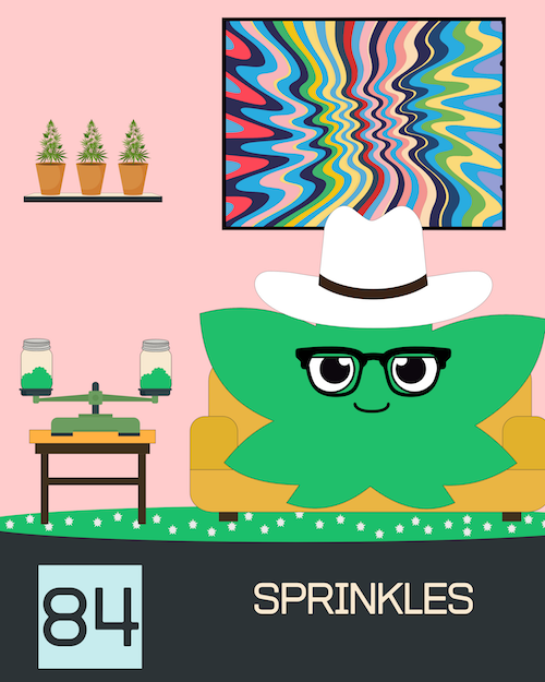 84 Sprinkles